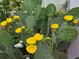 Дача у моря