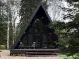 Дом в хвойном лесу