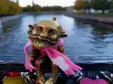 Уютная квартира с видом на сосновый лес