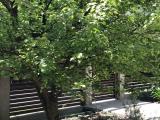 Двухместный номер с 2 отдельными кроватями стандарт