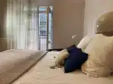 Квартира Балтик Резорт/ Baltic Resort  в центре