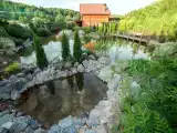 Рыжий кот - Деревянный Дом