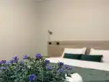 Двухместный номер с 1 кроватью стандарт