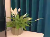 Уютная квартира в самом центре