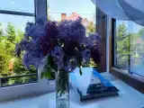 Апартаменты на море