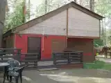 Коттедж в сосновом лесу