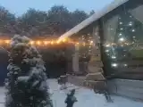 Friendly home