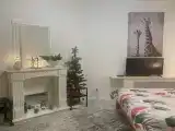 Уникальная квартира в центре с отдельным входом
