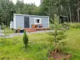 Мелодия леса