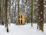 Дом в лесу Северный