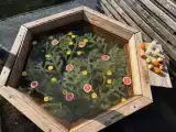 2-этаж БарнХаус: баня, чан, стильный дизайн . Можно с животными!