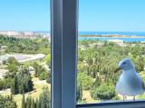 Апартаменты Бирюзове лилии с видом на море, на парк и на город