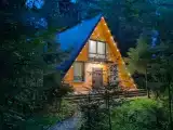 Большой уютный дом в лесу