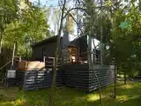 Дом с панорамными окнами в чаще леса у берега реки