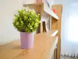 Cozy apartment