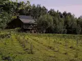 Усадьба без соседей, полное уединение. Баня,чан. Вид,склон. Минск 35м.