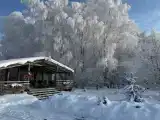 Дом в лесу