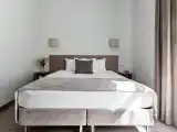 Двухместный номер с 1 кроватью Стандарт с кроватью King-size