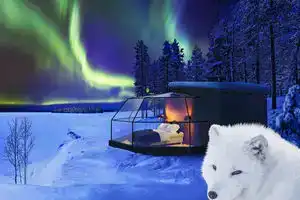Arctic Fox Igloos, Рануа