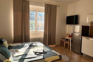 City Center Apartments - Moderna Brno Římské náměstí III, Брно