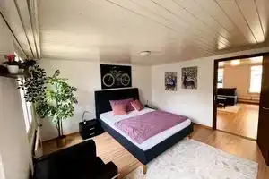 Newly Furnished Beautiful Old Building Apartment in the Center with Apple TV, Санкт-Галлен
