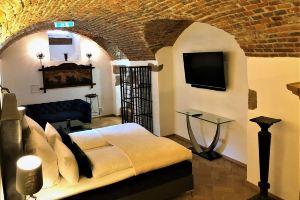 Historical Luxury Homes - Stadtvilla Mit Jacuzzi Und Garten, Фрайбург