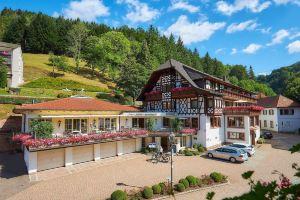 Flair Hotel Adlerbad, Бад-Петерсталь-Грисбах