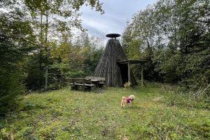 Cozy & modern 2-room appt. TOP LOCATED (next to the lakes & in midst of nature), Ханенклее-Боксвизе