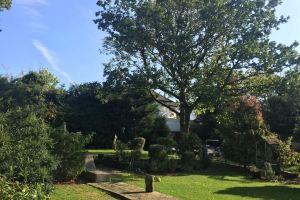 Edgware Bed and Breakfast, Лондон