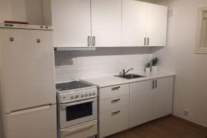 Nice Basement Apartment in Central Oslo, Осло