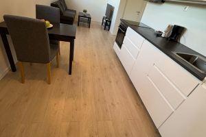 Temis apartment - private 1 bed room and 1 living room w/ sofa bed + big kitchen, Осло