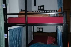 Neverland Hostel, Пхи Пхи