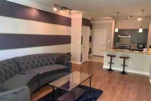 Upscale apt. in Central downtown location, Атланта