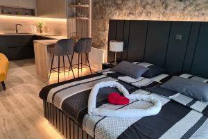Wellness Apartments - Studio Apartment with Terrace, Вараждин