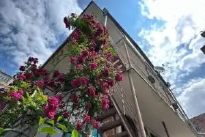 Asine Guest House, Дилижан