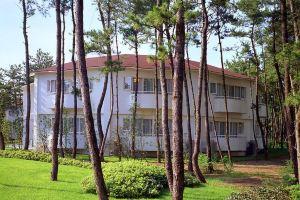 Seagaia Forest Cottage(Old:Cottage HIMUKA), Миядзаки