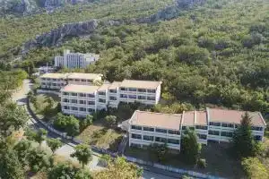 Hotel Krusik, Бар
