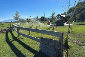 Grandma's Farmhouse @ Stoney Farms -NO CHOREs, Пангитч