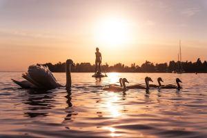 Seagull Radolfzell, Радольфцелль