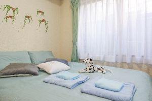 Cosmo Mercy N-1 / Vacation Stay 12990, Кавасаки