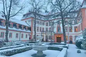 Osteiner Hof by the Apartment Suite, Майнц