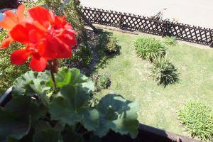 Apartment in the pearl of the Uckermark, Темплин