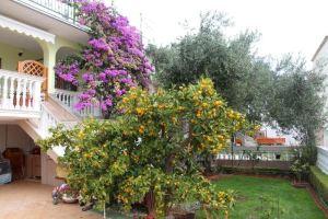 Apartmani Gojević, Водице