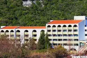 Hotel «Zlatibor», Чань