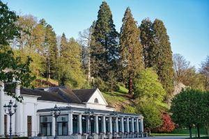 Modern apartment in Baden-Baden (70sqm On foot into the city and nature., Баден-Баден
