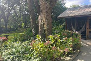 Adorable Bungalow Close to Downtown and Folly Beach! Park Pass Included!, Чарлстон