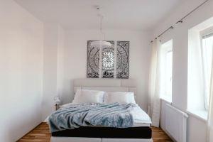 Luxury Apartments Zelny TRH, Брно