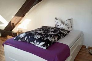 Magical apartment at the racecourse, Крефельд