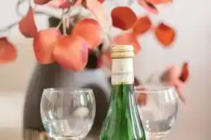 Apartments Fichtenstrasse -Elbflorenz-Dresden-Residenz, Дрезден