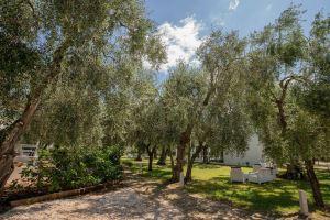 Apartment Ulivo with Pool and Private Beach, Маттината